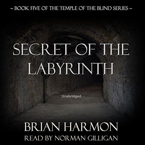 Secret of the Labyrinth Temple of the Blind Kindle Editon