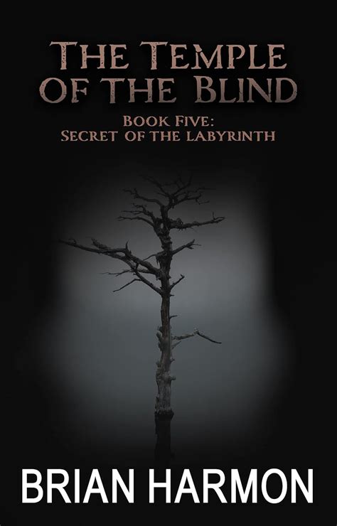 Secret of the Labyrinth Temple of the Blind Epub