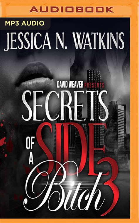 Secrets Of A Side Bitch 3 Ebook Reader