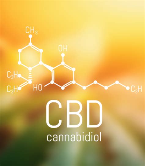 Section 1: An Introduction to CBD ZYN