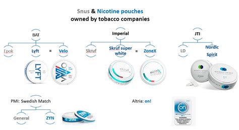 Section 1: The Anatomy of Nicotine Pouches