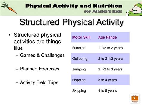 Section 1: The Power of Structured Study Breaks