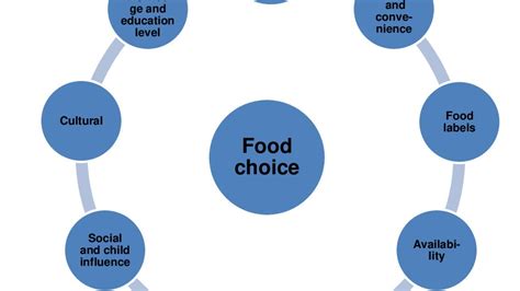 Section 1: The Web of Choices