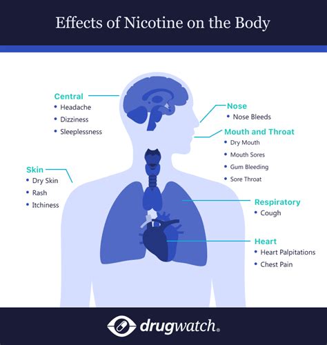 Section 1: Understanding Nicotine's Effects on the Body