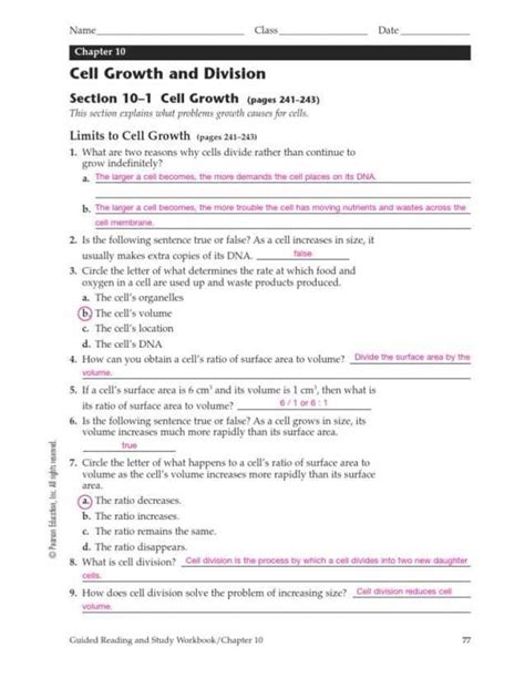 Section 10â€“1 Cell Growth (pages 241â€“243) Ebook Doc