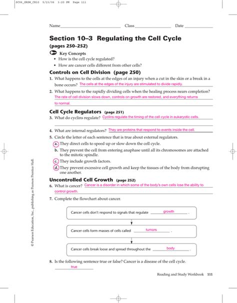 Section 10 3 Regulating The Cell Cycle Answer Key Kindle Editon