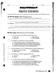 Section 10 4 Review Protein Synthesis Answers Reader