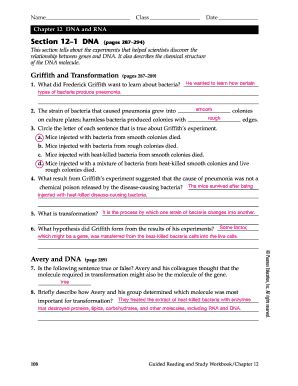 Section 12 1 Dna Pages 287 294 Answer Key Doc