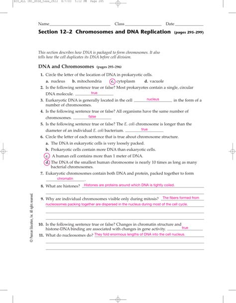 Section 12 2 Chromosomes And Dna Answer Key Epub