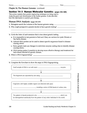 Section 14 3 Human Molecular Genetics Paged 355 360 Answer Key Doc