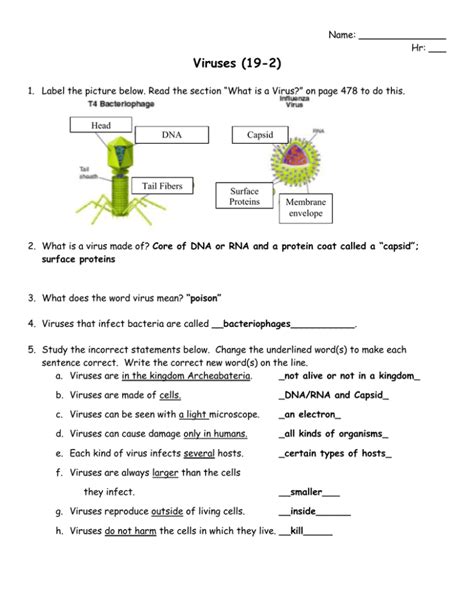 Section 19 2 Viruses Answer Key Doc