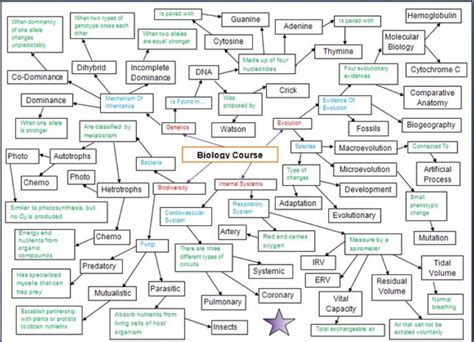 Section 2 Biology Concept Maps Answers PDF