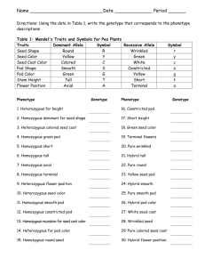 Section 2 Human Genetics Review Answers PDF