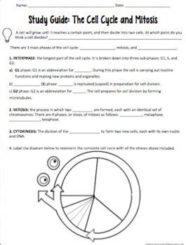 Section 2 Mitosis Cytokinesis Study Guide Answers Doc