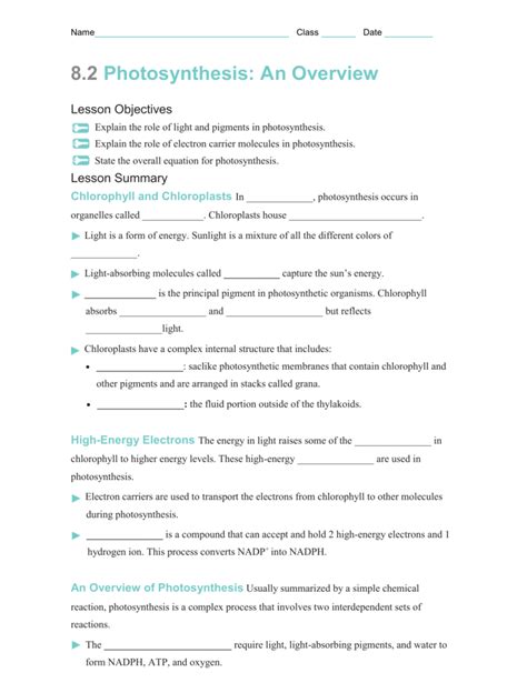 Section 2 Photosynthesis Answer Key Doc