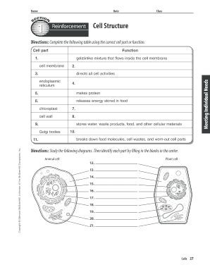 Section 2 Reinforcement Cell Structure Answer Key PDF