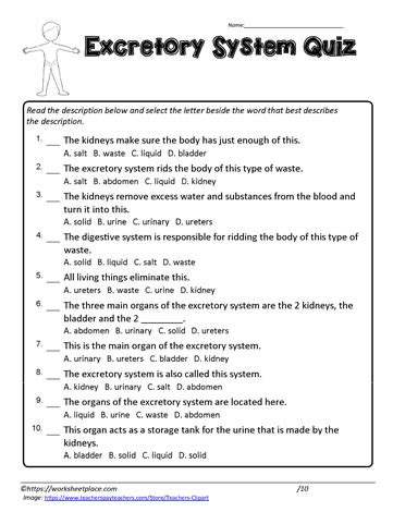 Section 2 Reinforcement The Excretory System Answers Doc