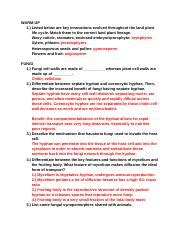 Section 21 Fungi Answer Key PDF