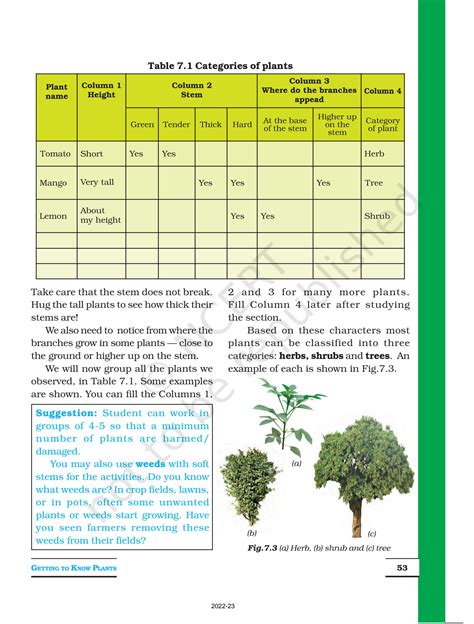 Section 21 Introduction To Plants Answer Key Reader