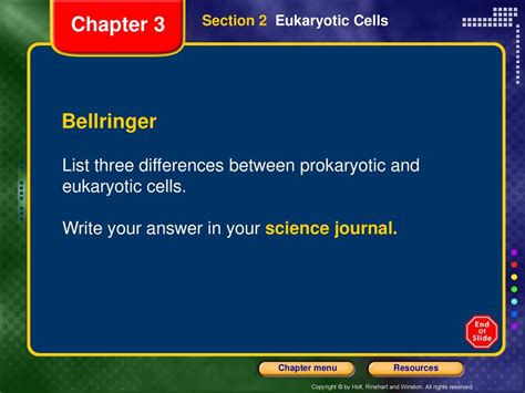 Section 23 2 Prokaryotes Answer Reader