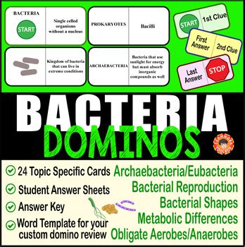 Section 24 2 Review Biology Of Bacteria Answer Key Doc