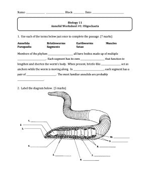 Section 27 3 Annelids Answer Key Doc