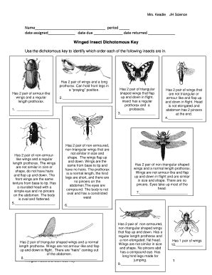 Section 28 3 Insects Answer Key Kindle Editon
