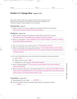 Section 3 2 Energy Flow Worksheet Answer Key Epub