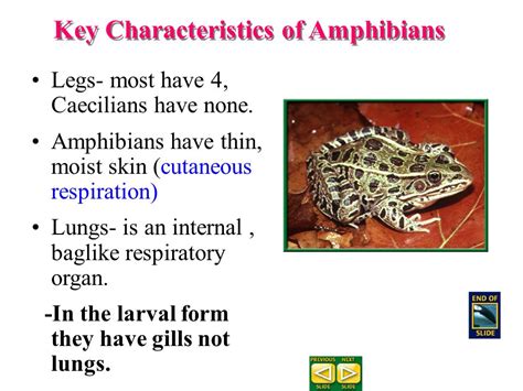 Section 30 2 Amphibians Answer Key Kindle Editon