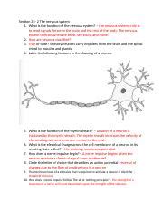 Section 35 2 The Nervous System Answer Key PDF