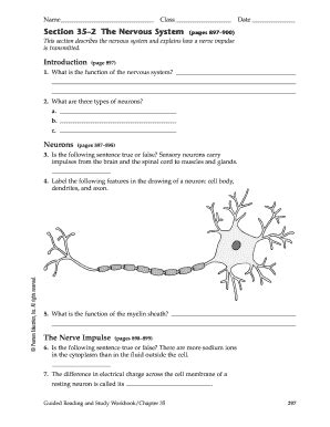 Section 35 2 The Nervous System Worksheet Answers Kindle Editon
