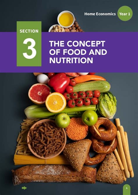 Section 38 3 Food And Nutrition Answers PDF