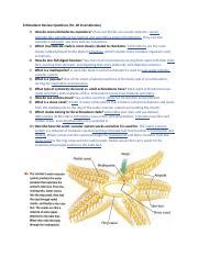 Section 40 1 Review Echinoderms Answer Key PDF