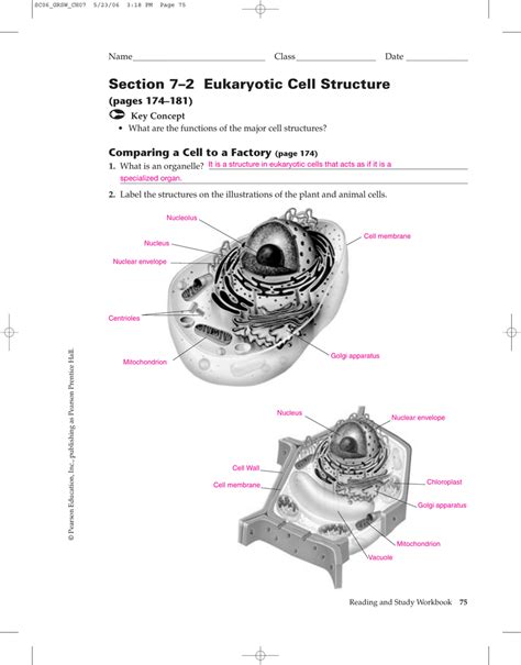 Section 7 2 Eukaryotic Cell Structure Worksheet Answers Kindle Editon