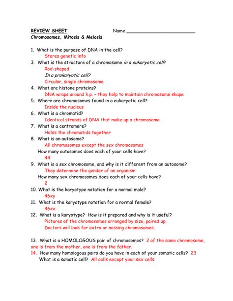 Section 8 2 Review Cell Division Worksheet Answers Epub