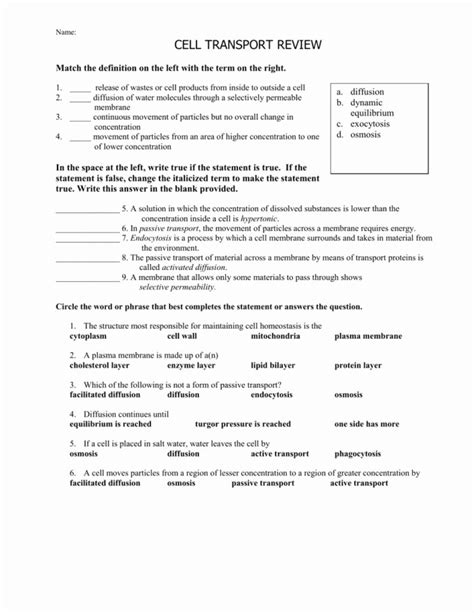 Section 81 Cellular Transport Answers PDF