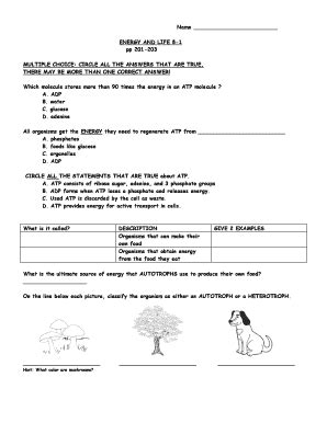 Section 81 Energy And Life Answer Key Reader