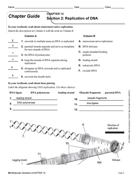 Section Structure Of Dna Study Guide Answers Reader