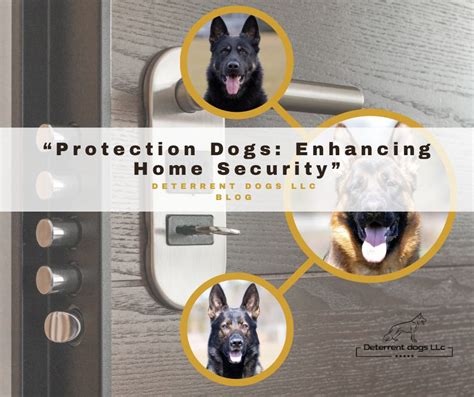 Security Dog Shirt: A Comprehensive Guide to Enhancing Your Canine's Protection