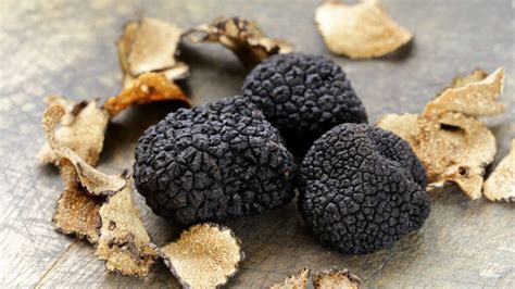 See's Truffle Guide: An Epicurean's Delectable Adventure