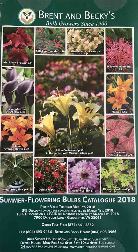 Seed And Bulb Catalogs