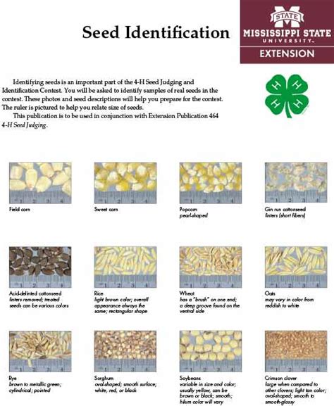 Seed Identification Manual Kindle Editon