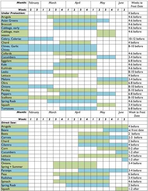 Seed Starting Chart Zone 6