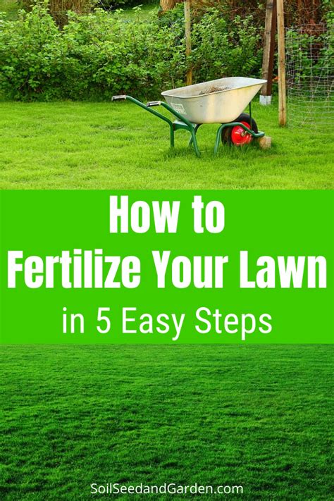 Seed and Fertilize Lawn: 5 Easy Steps to a Lush, Green Oasis