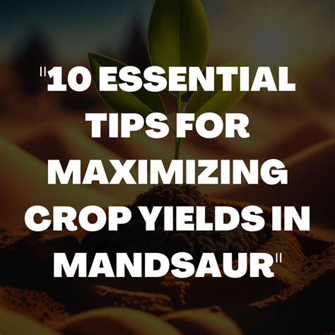 Seeding and Fertilizing: Maximizing Crop Yields with 10,000 Essential Tips