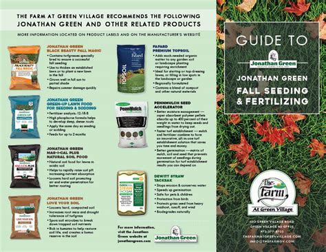 Seeding and Fertilizing Grass: The Ultimate 2023 Guide