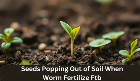 Seeds Pop Out of Soil When Worm Fertilize FTB': Fascinating Facts & Applications