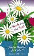 Seeds for the Soul: Sunday Homilies for Cycle A Ebook Epub