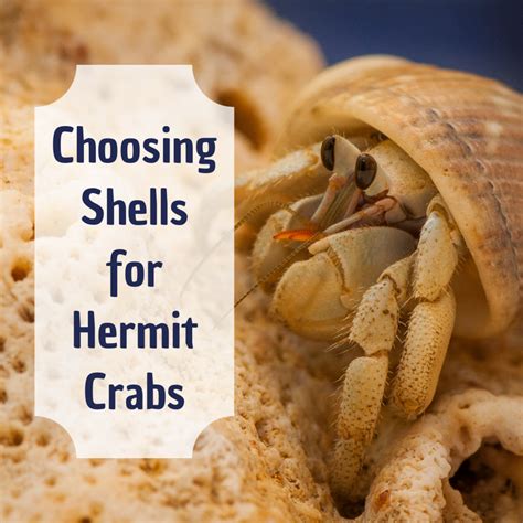 Select the right crabs: