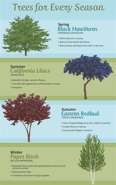 Selecting the Best Trees